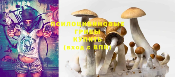 гашик Михайловка