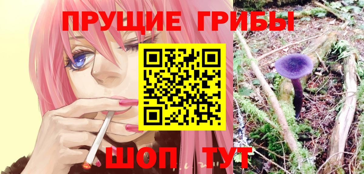 Псилоцибиновые грибы Cubensis  Псилоцибиновые грибы ЛСД  Ногинск  Вход с VPN 