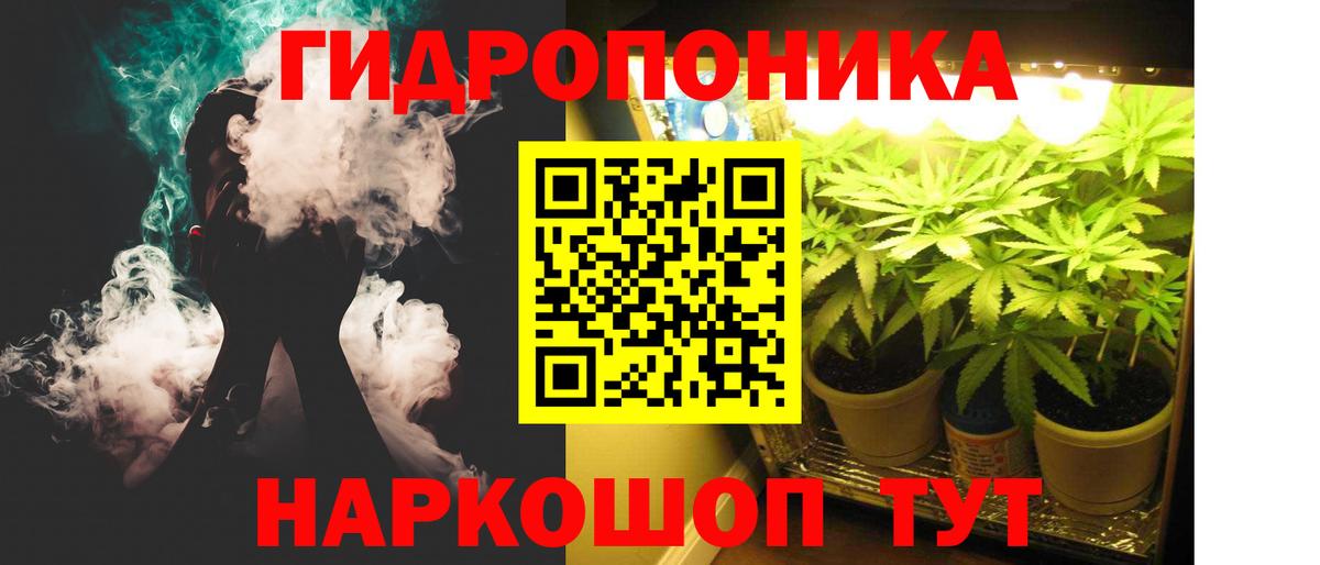 Конопля Bruce Banner  Вход с VPN  Бошки марихуана THC 21%  Ногинск 